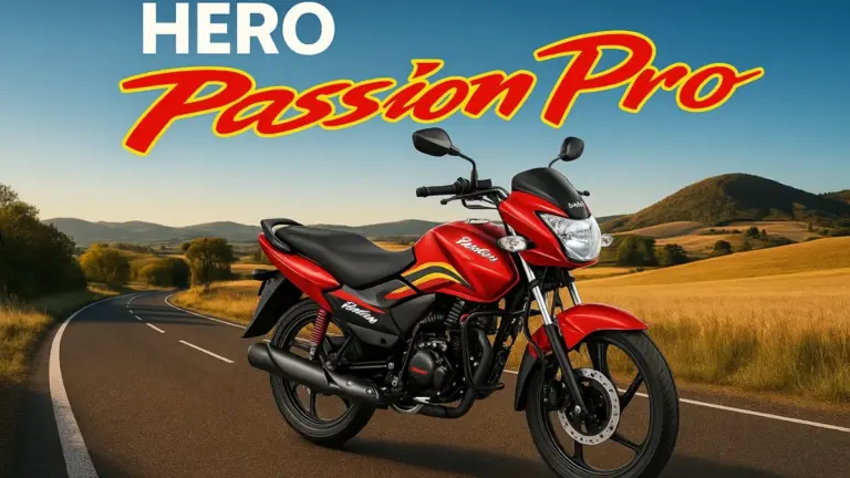 Hero Passion Pro